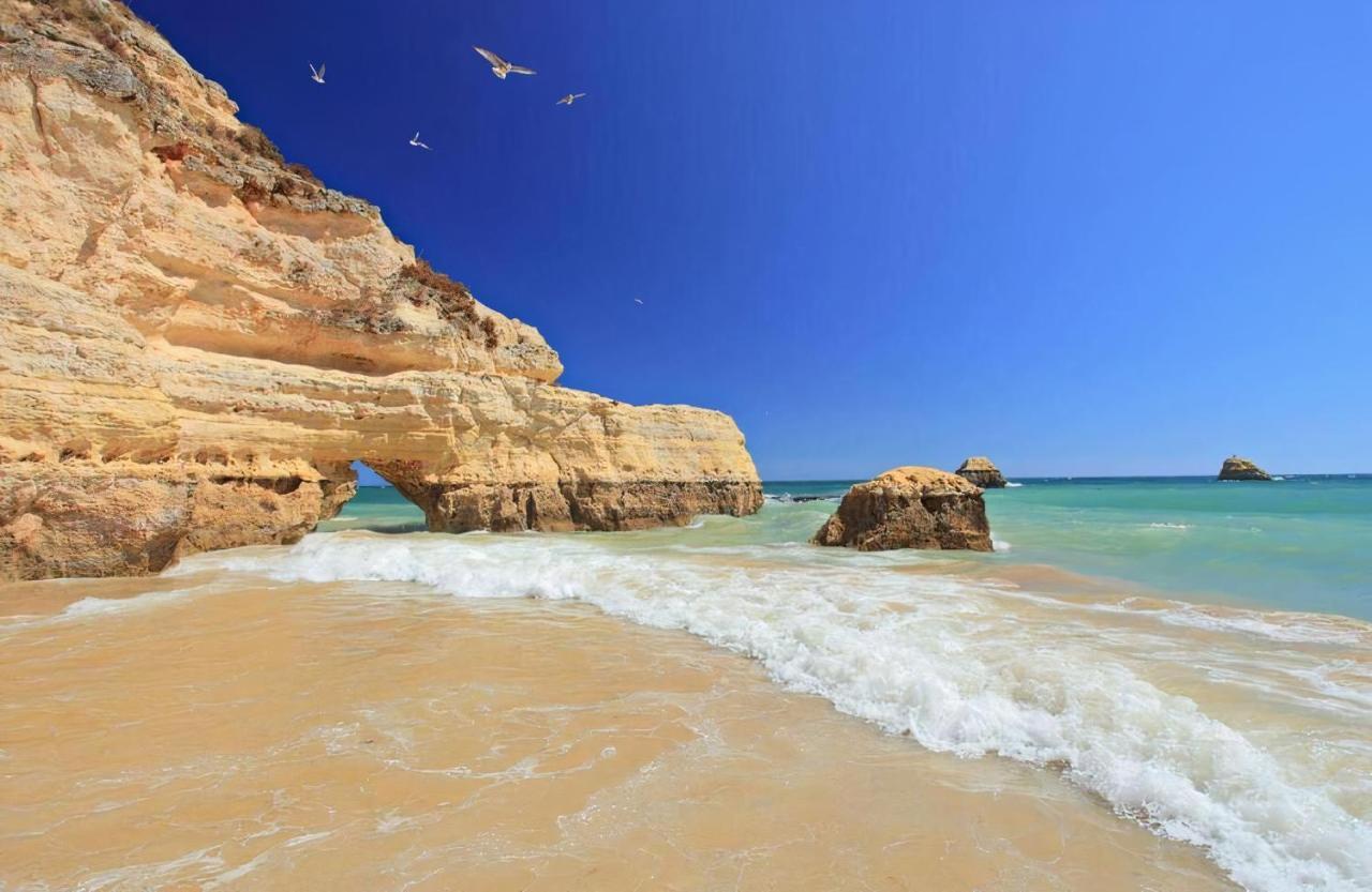 Rocha & Mar Apartamentos - Praia Da Rocha Portimão Buitenkant foto